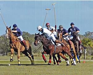 Polo Players