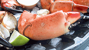 Stone crab